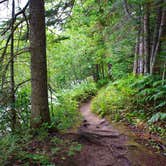 Review photo of Rivermouth Modern Campground — Tahquamenon Falls State Park by Anton T., July 31, 2016
