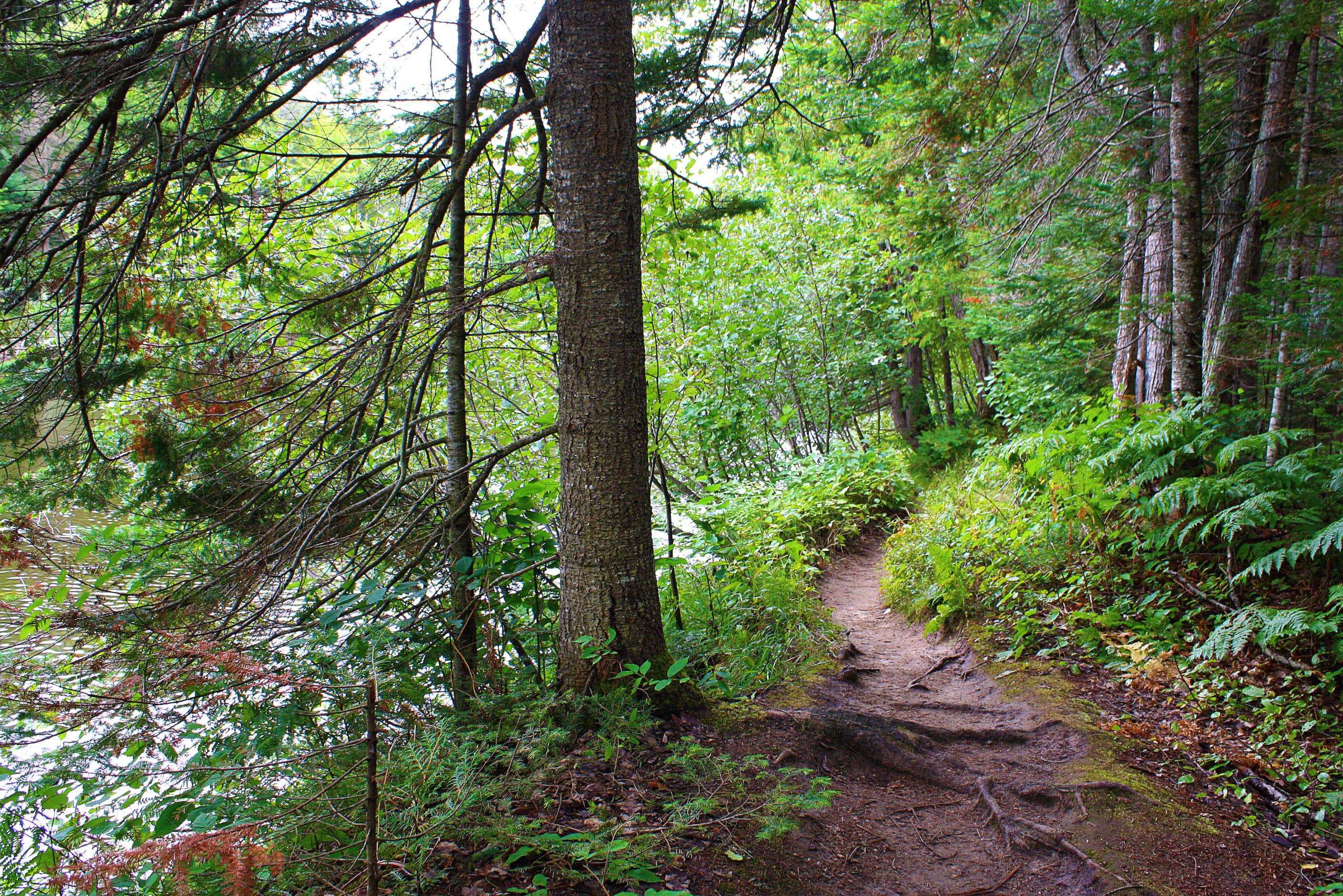 Camper submitted image from Rivermouth Modern Campground — Tahquamenon Falls State Park - 2