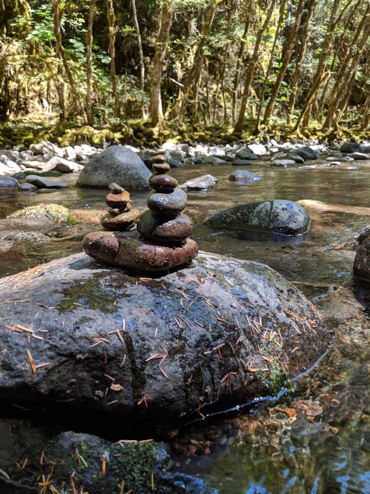 Camper-submitted photo at Lund Park Forest Camp near Oakridge, OR