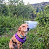 Review photo of Wild River State Park Campground by Lauren S., August 16, 2018