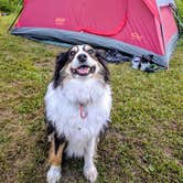 Review photo of Wild River State Park Campground by Lauren S., August 16, 2018