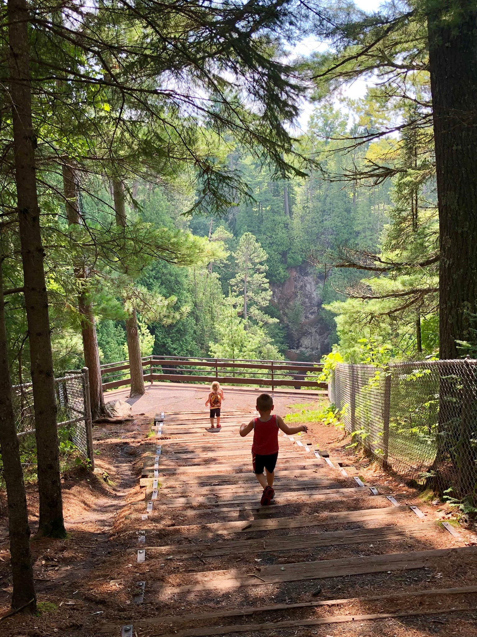 Camper-submitted photo at Pattison State Park Campground near Cloquet, MN