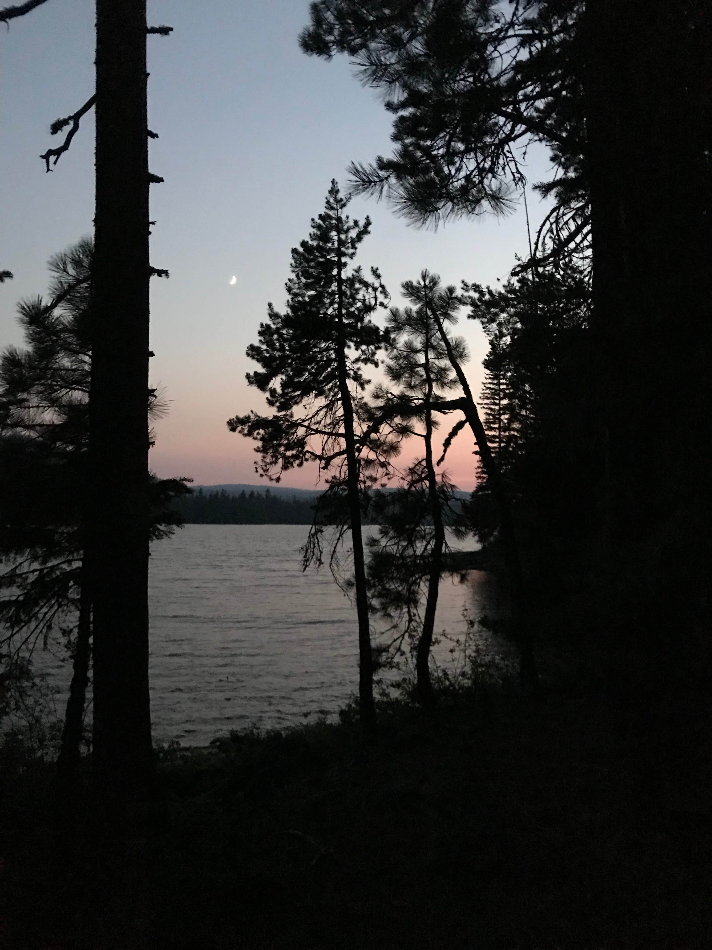 Camper submitted image from Cultus Lake Boat In Little Cove Campground — Deschutes National Forest - 4