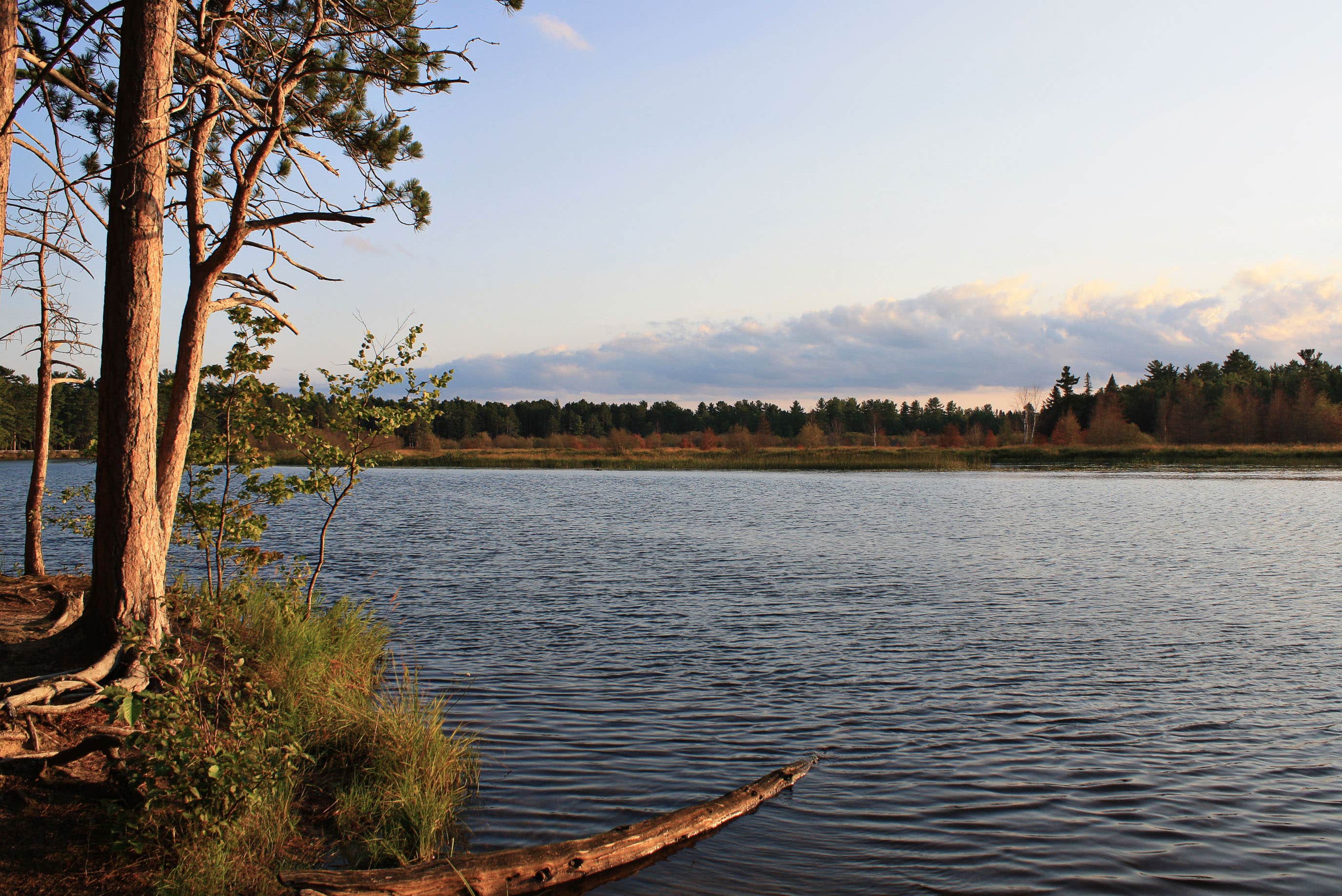 Camper submitted image from Rivermouth Modern Campground — Tahquamenon Falls State Park - 3