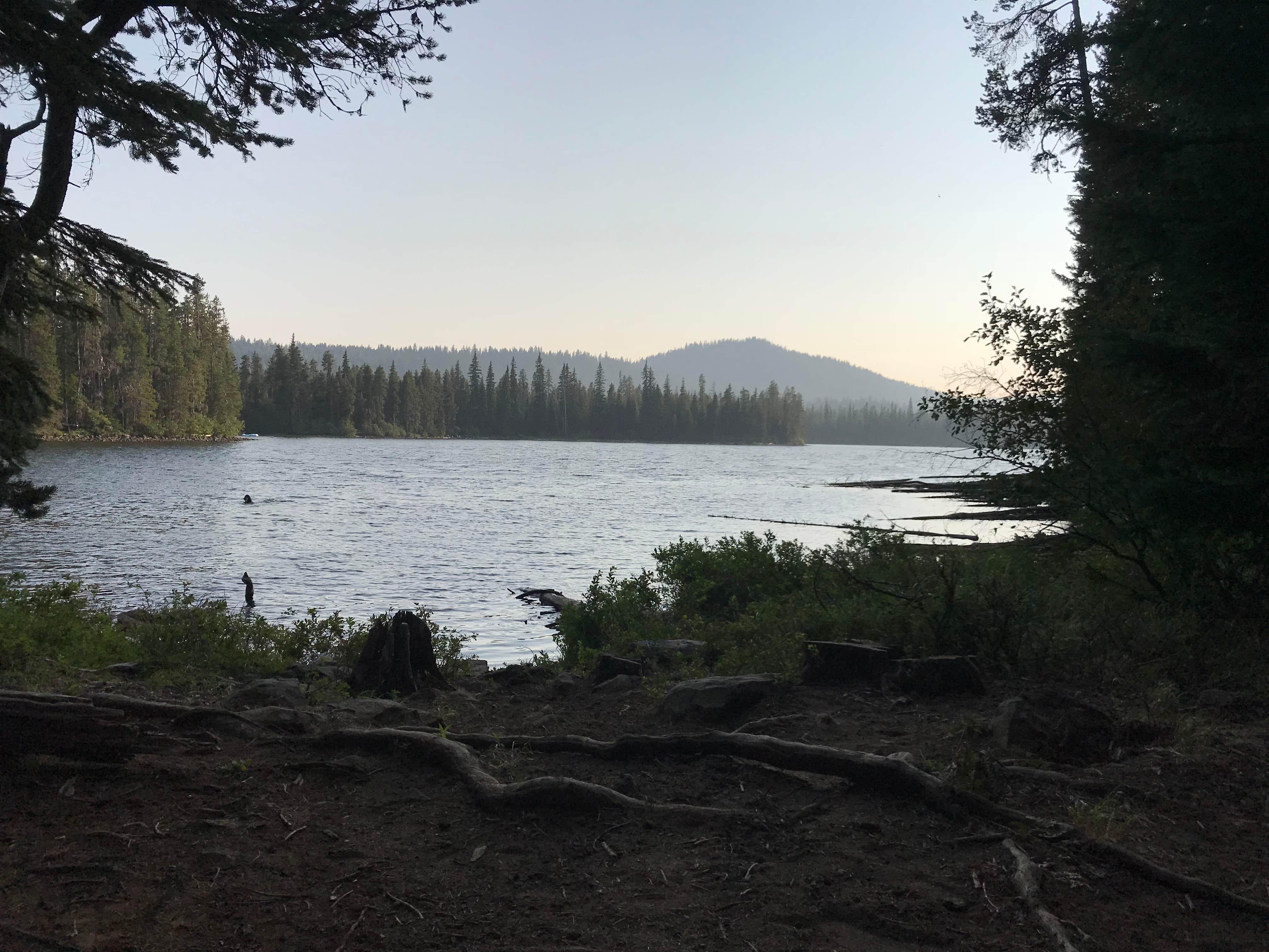 Camper submitted image from Cultus Lake Boat In Little Cove Campground — Deschutes National Forest - 3