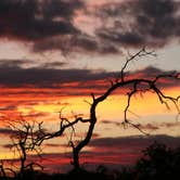 Review photo of Colorado Bend State Park Campground by Meghan G., August 16, 2018