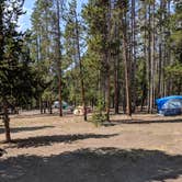 Review photo of Madison Campground — Yellowstone National Park by Pat H., August 16, 2018