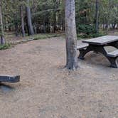 Review photo of Grant Village Campground — Yellowstone National Park by Pat H., August 16, 2018