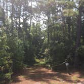 Review photo of Seminole State Forest - Moccasin Camp by Billy A., June 30, 2015
