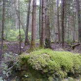 Review photo of DeTour - Lake Superior State Forest by Valerie D., August 16, 2018