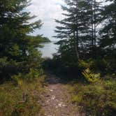 Review photo of DeTour - Lake Superior State Forest by Valerie D., August 16, 2018