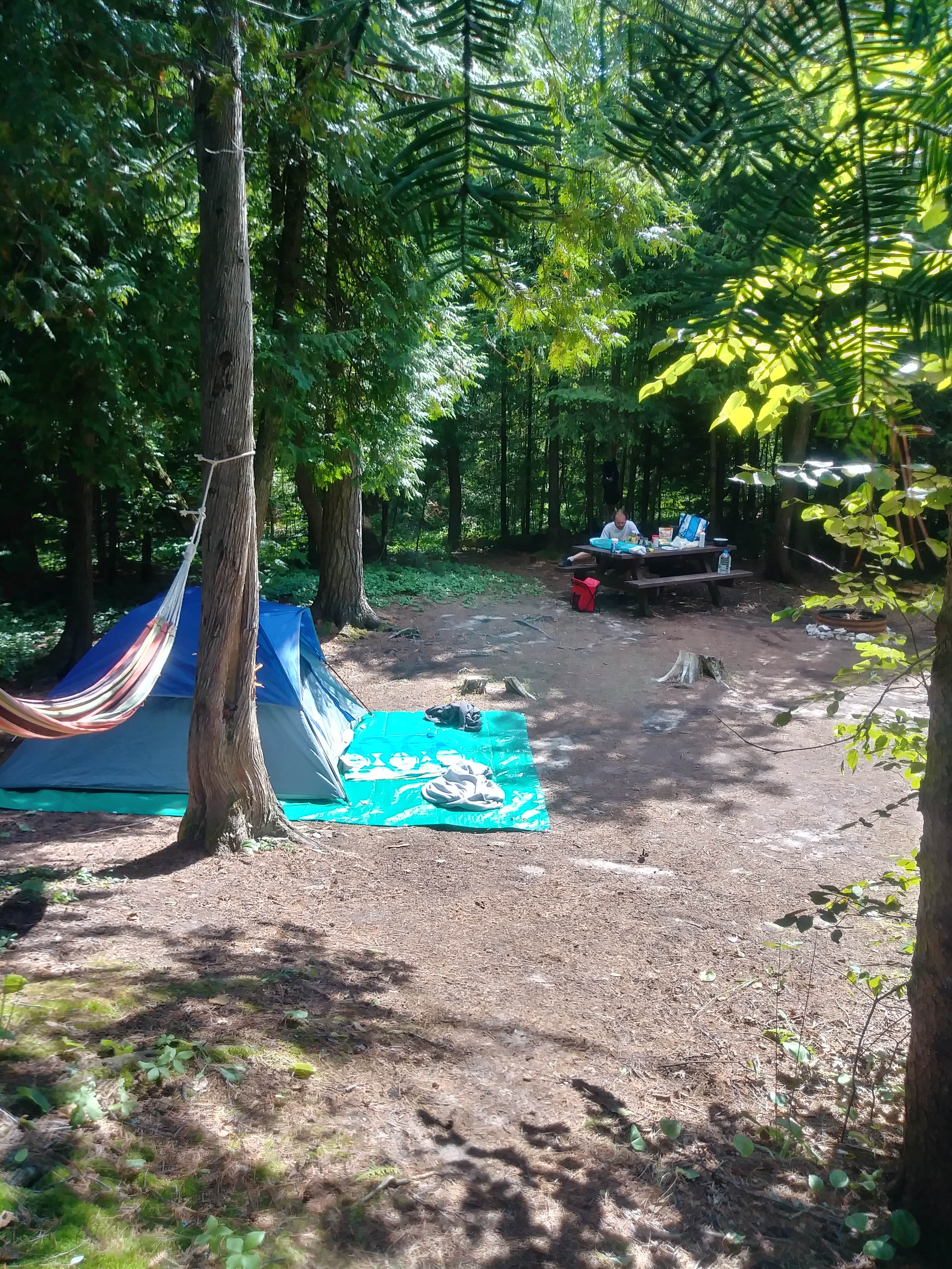 Camper submitted image from DeTour - Lake Superior State Forest - 2