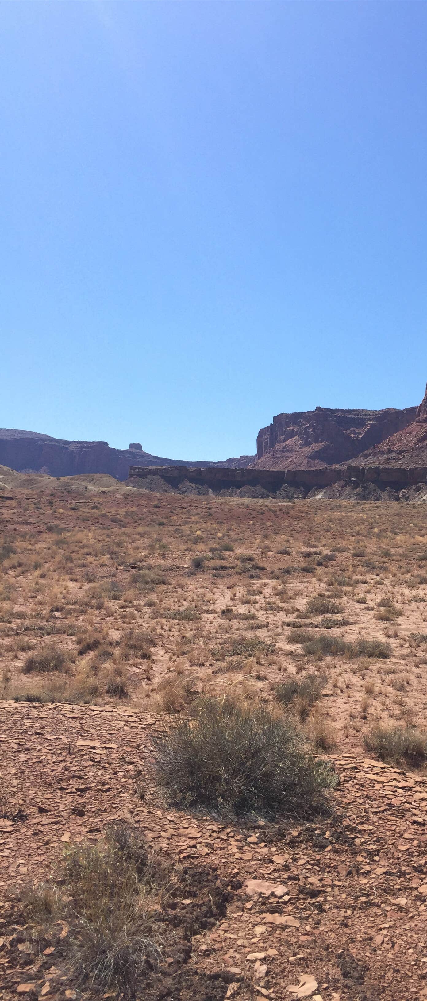 Camper-submitted photo at Green River Float-In Campsites near Dutch John, UT