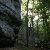 Review photo of Deer Ridge Campground — Ferne Clyffe State Park by Anton T., July 31, 2016