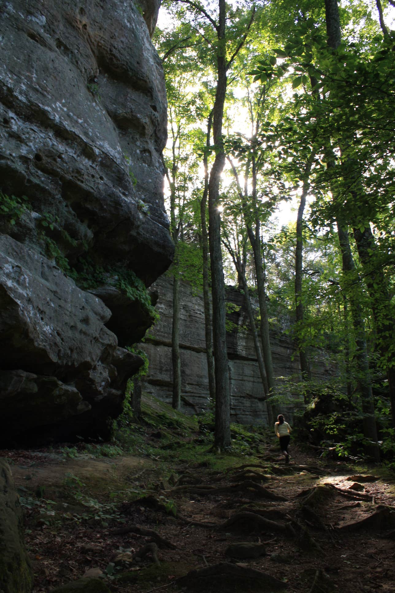 Camper submitted image from Deer Ridge Campground — Ferne Clyffe State Park - 2