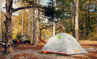 2SHOE S.'s photo at Richland Creek Recreation Area in Arkansas