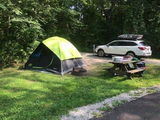 Camper submitted image from Pokagon State Park Campground - 4