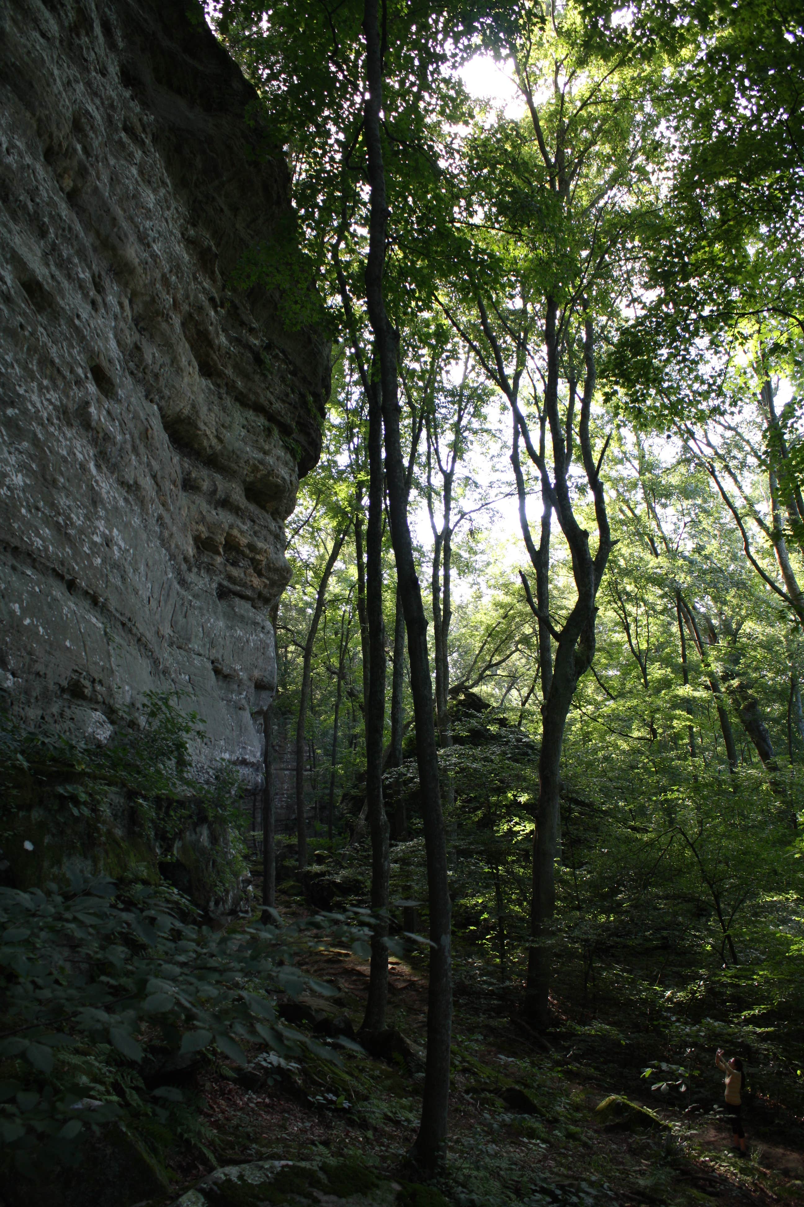 Camper-submitted photo at Deer Ridge Campground — Ferne Clyffe State Park near Jonesboro, IL
