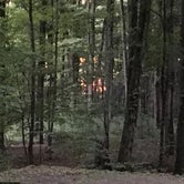 Review photo of Lackawanna State Park Campground by Amy V., August 16, 2018
