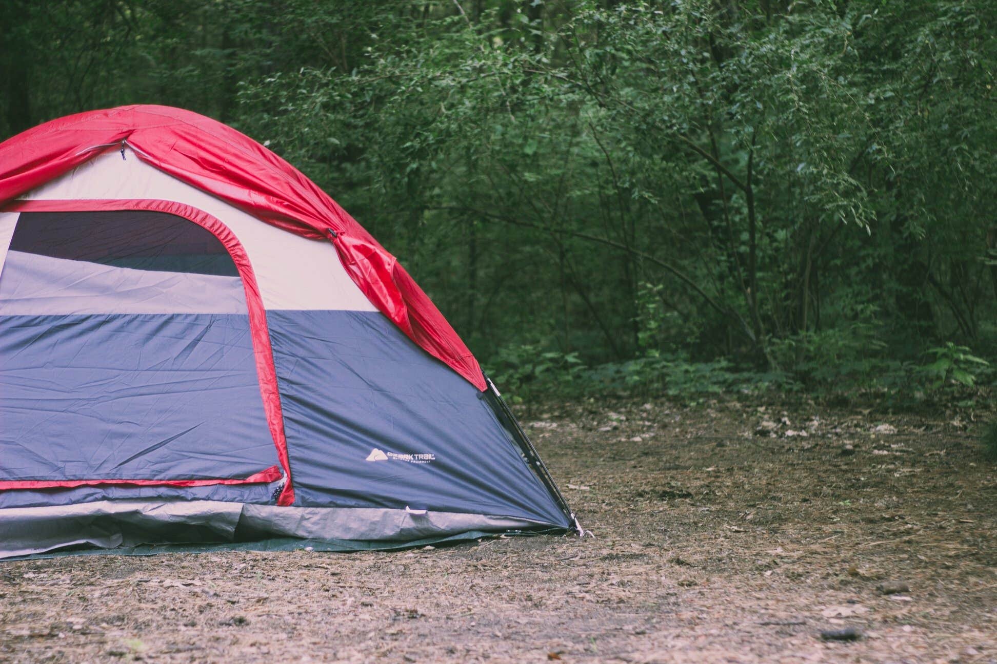 Camper submitted image from Pine Campground — Sand Ridge State Forest - 4