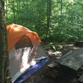 Review photo of Worlds End State Park Campground by Erin C., August 16, 2018
