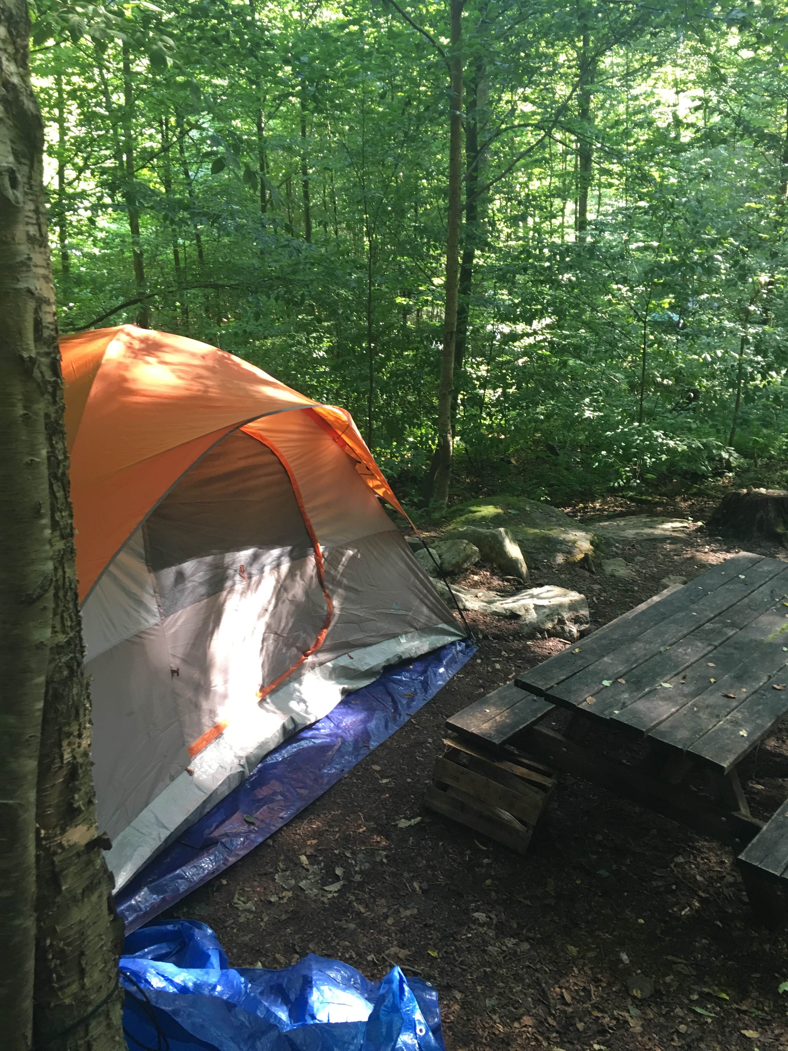 Camper submitted image from Worlds End State Park Campground - 3