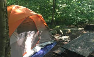 Erin C.'s photo at Worlds End State Park Campground near Dushore, PA
