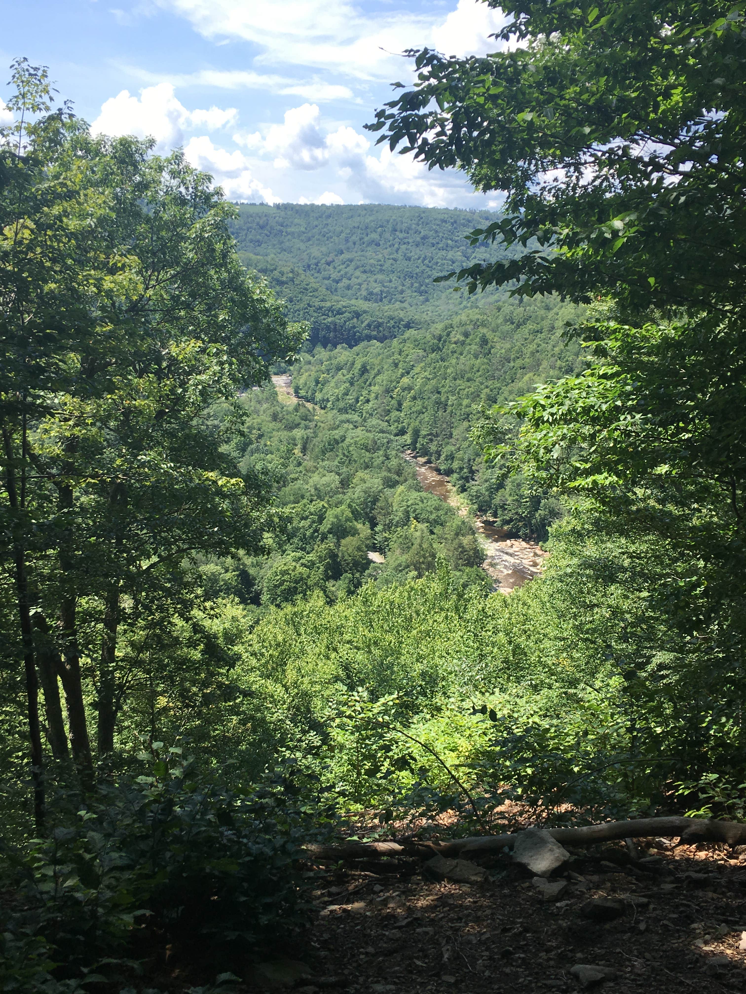 Camper-submitted photo at Worlds End State Park Campground near Eagles Mere, PA
