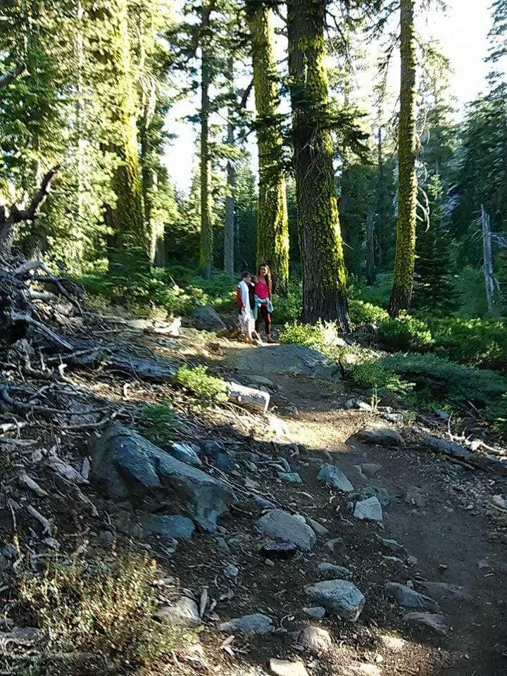 Camper submitted image from Lakes Basin Campground - 2