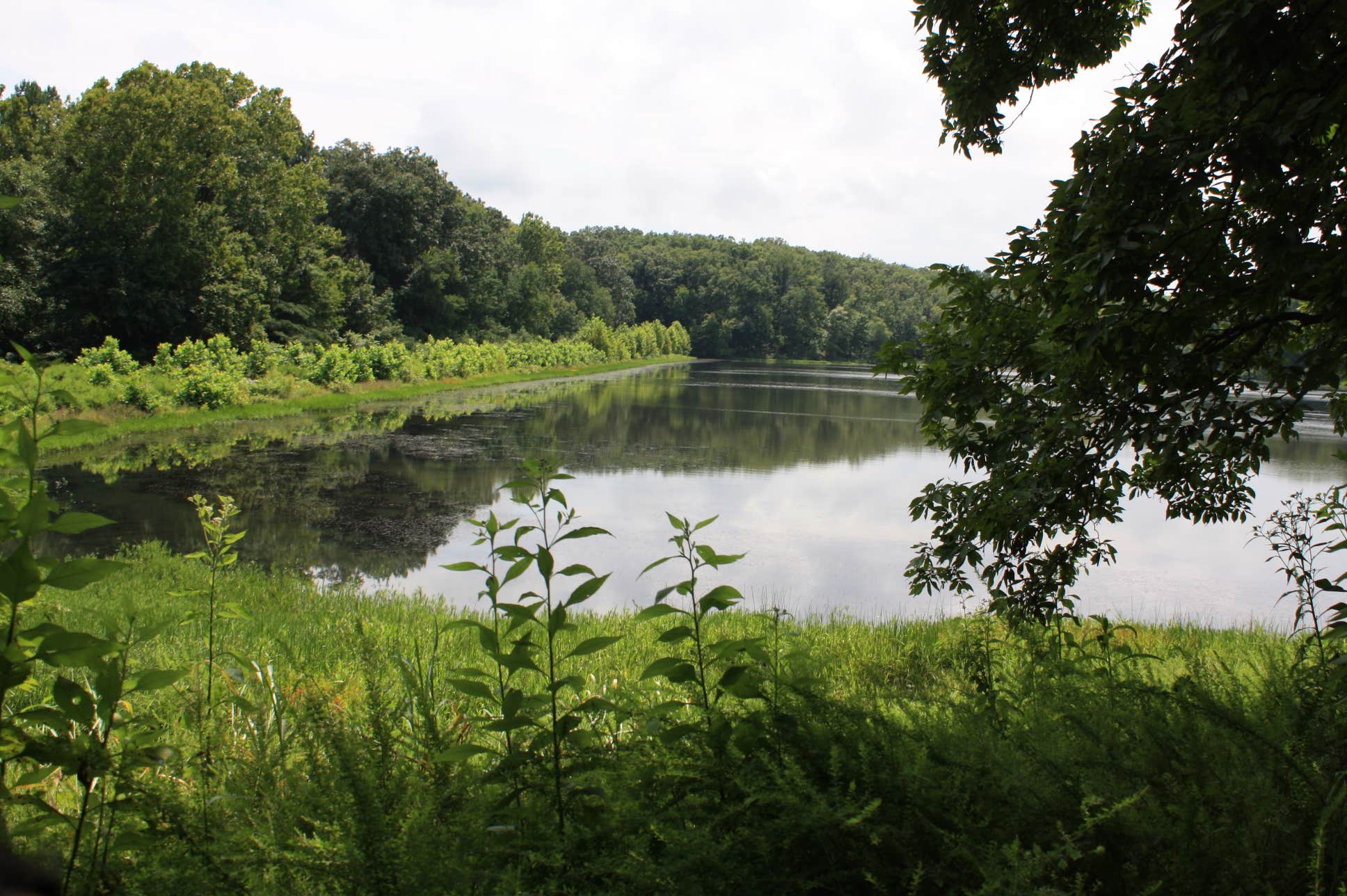 Camper submitted image from Deer Ridge Campground — Ferne Clyffe State Park - 3