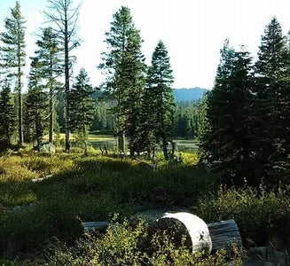 Camper-submitted photo from Lakes Basin Campground