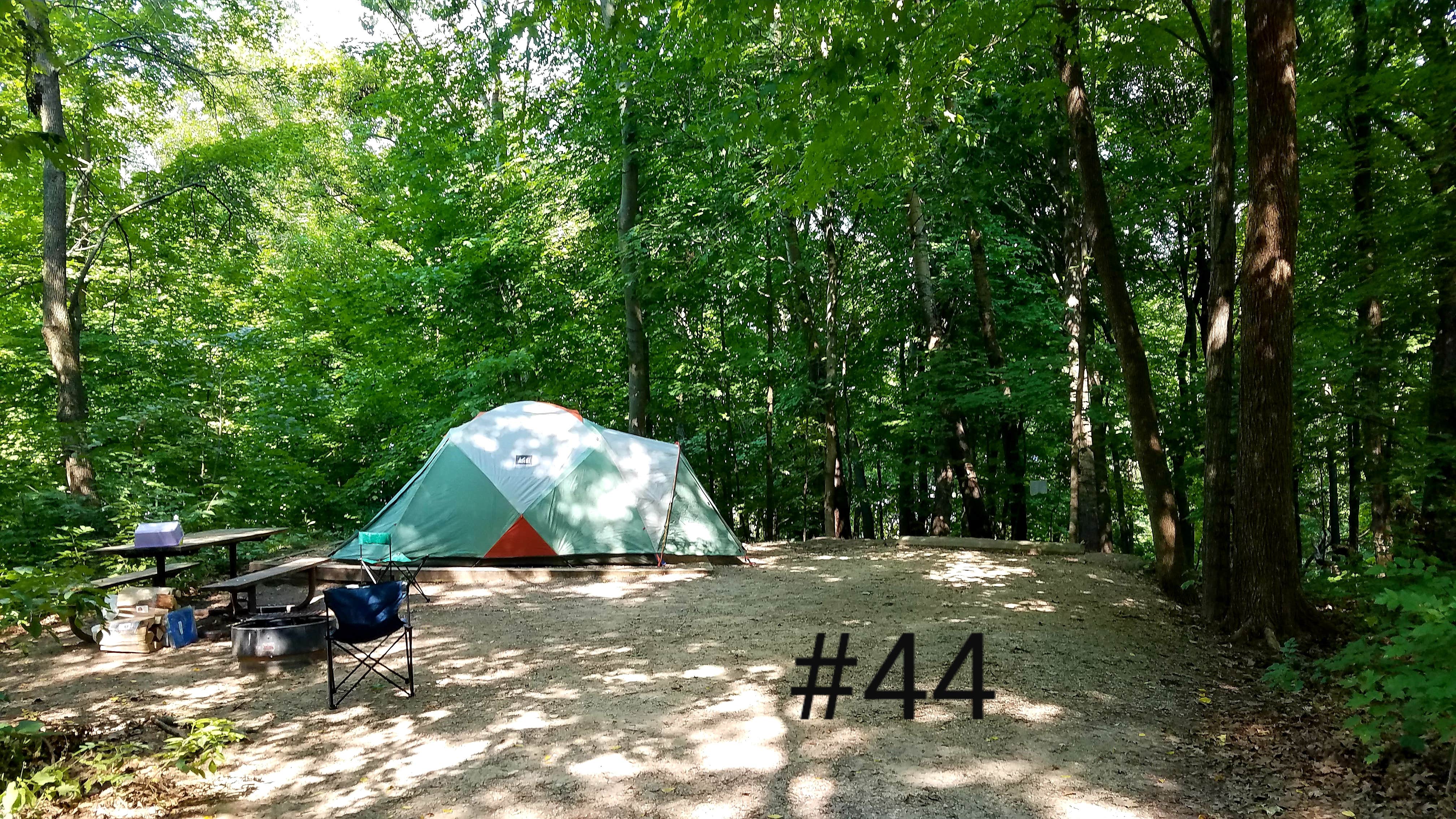 Mary S.'s photo at Frontenac State Park Campground near Nelson, WI
