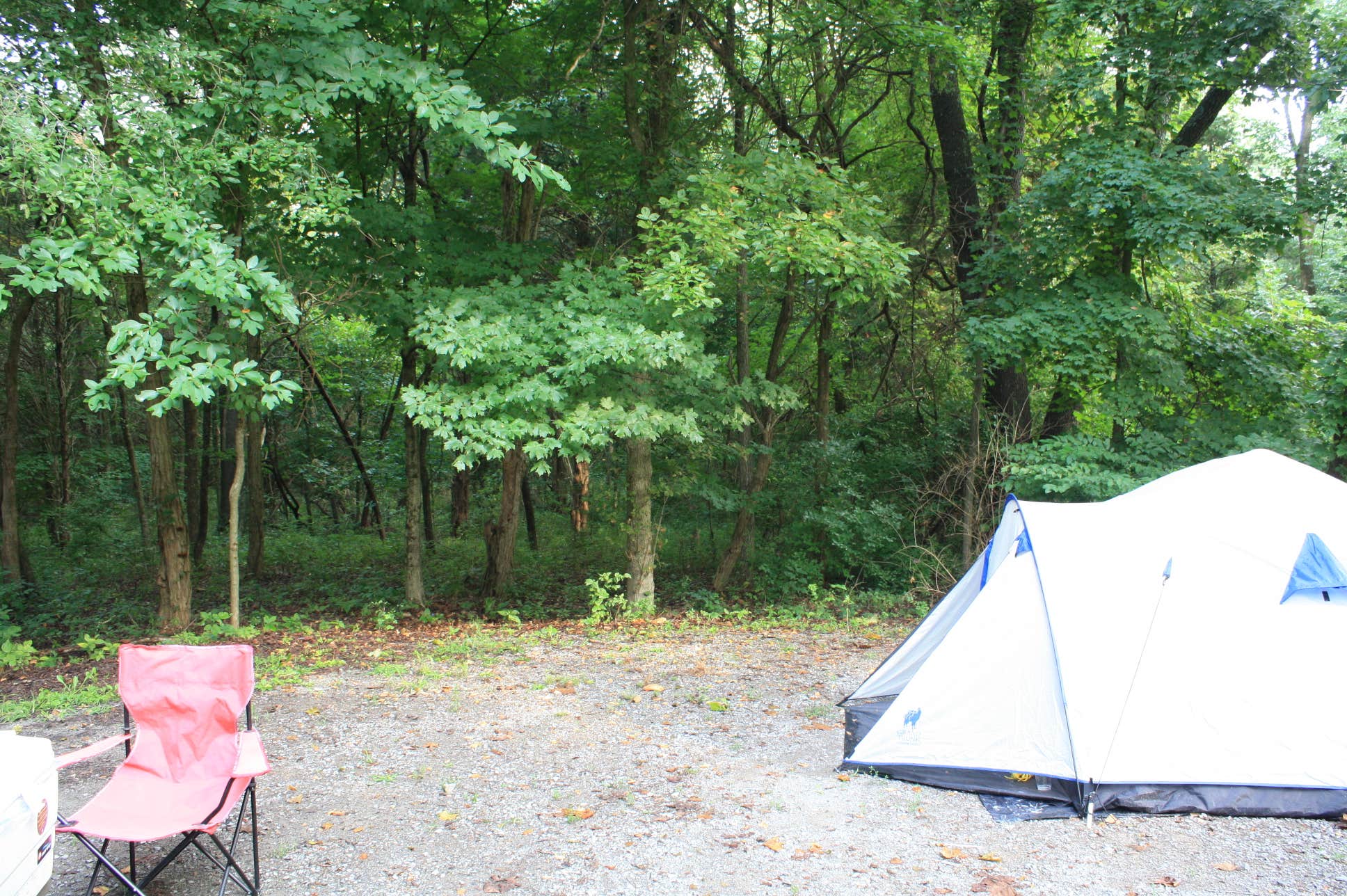 Anton T.'s photo at Deer Ridge Campground — Ferne Clyffe State Park near Bargerville, IL