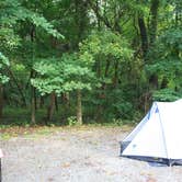 Review photo of Deer Ridge Campground — Ferne Clyffe State Park by Anton T., July 31, 2016