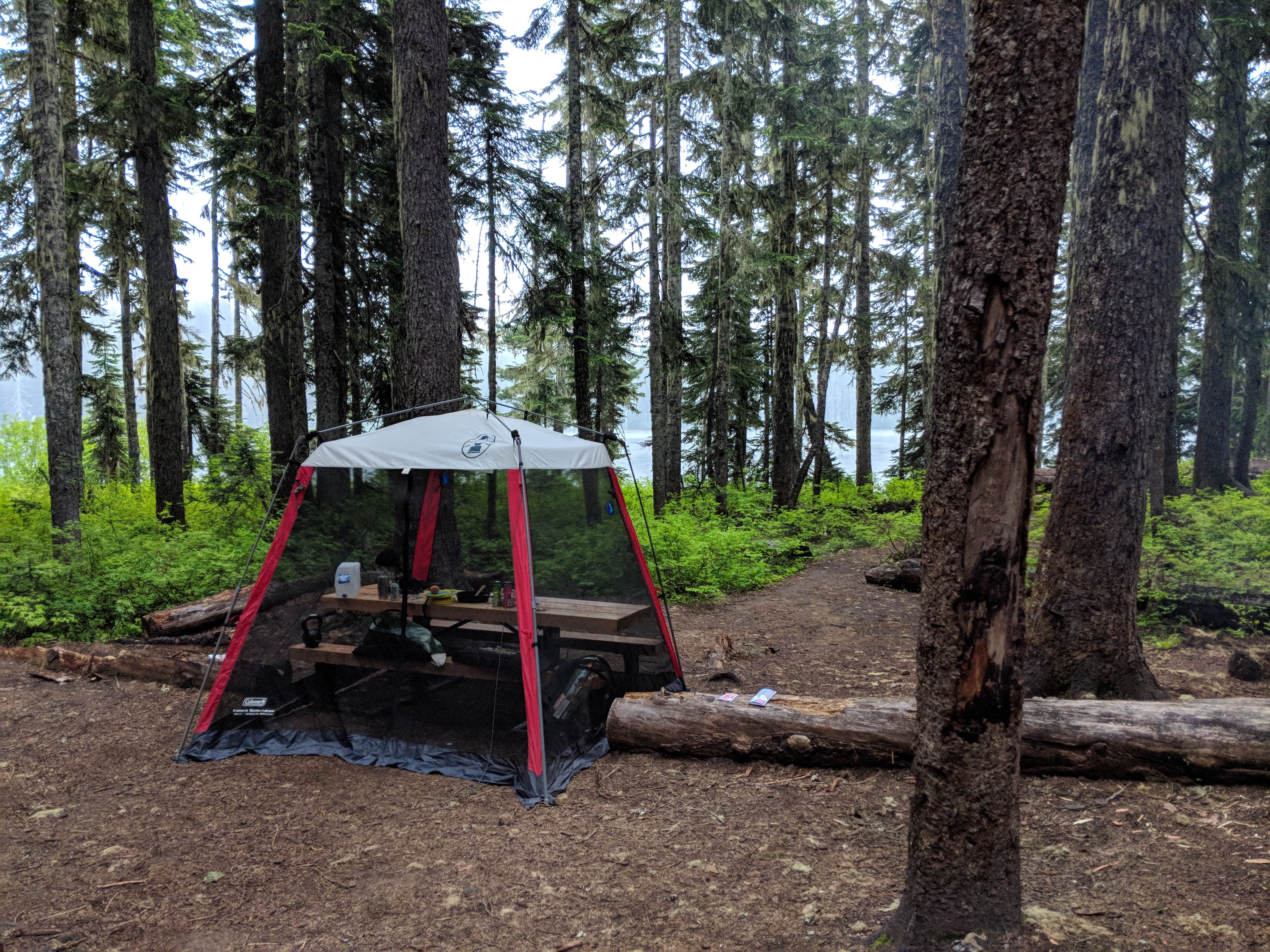 Mary C.'s photo at Takhlakh Lake Campground near Gifford Pinchot National Forest