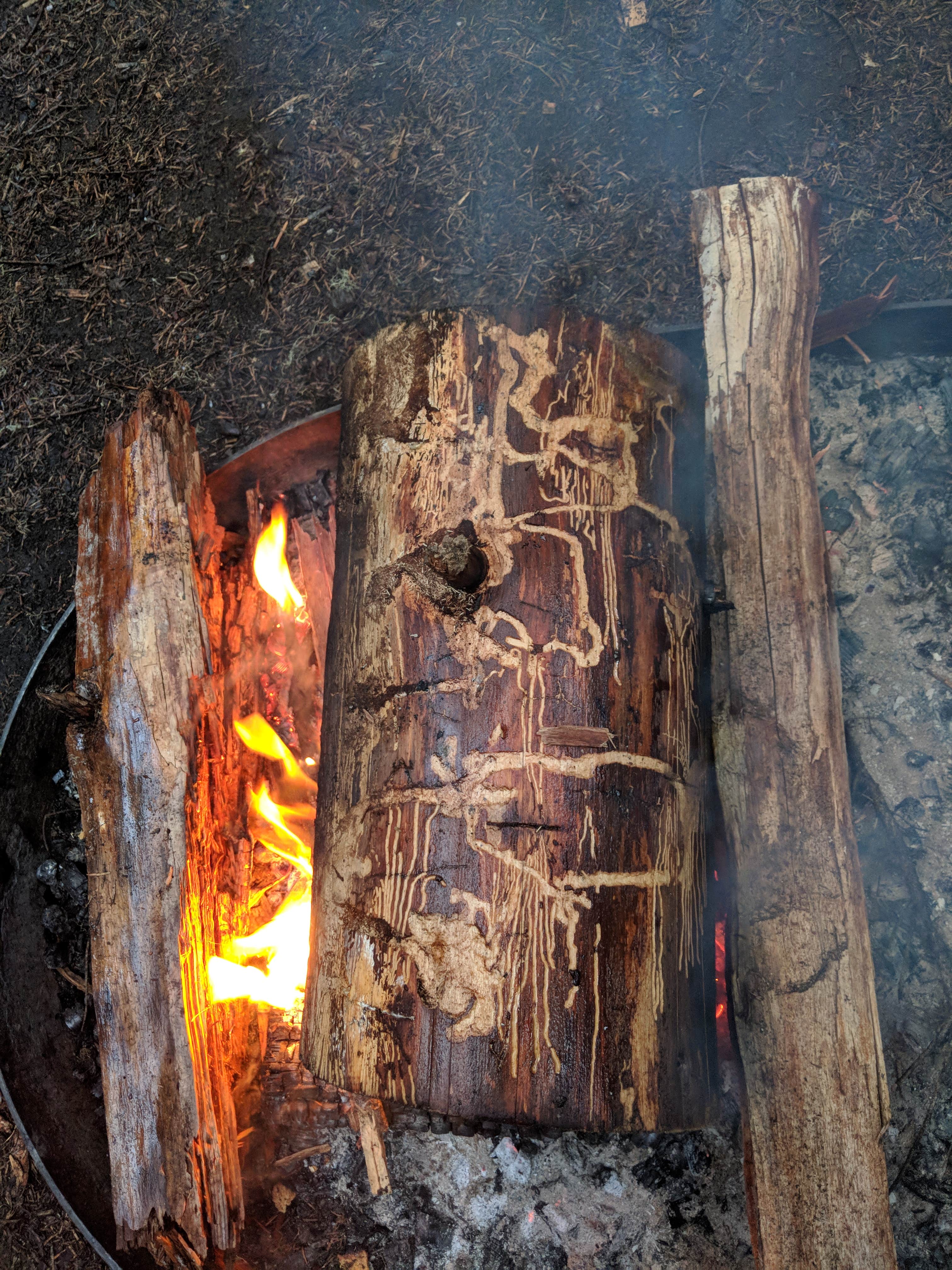 Mary C.'s photo at Takhlakh Lake Campground near Gifford Pinchot National Forest