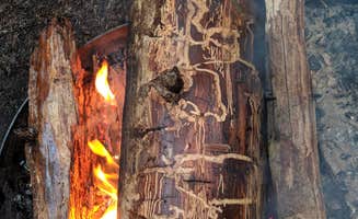 Mary C.'s photo at Takhlakh Lake Campground near Gifford Pinchot National Forest