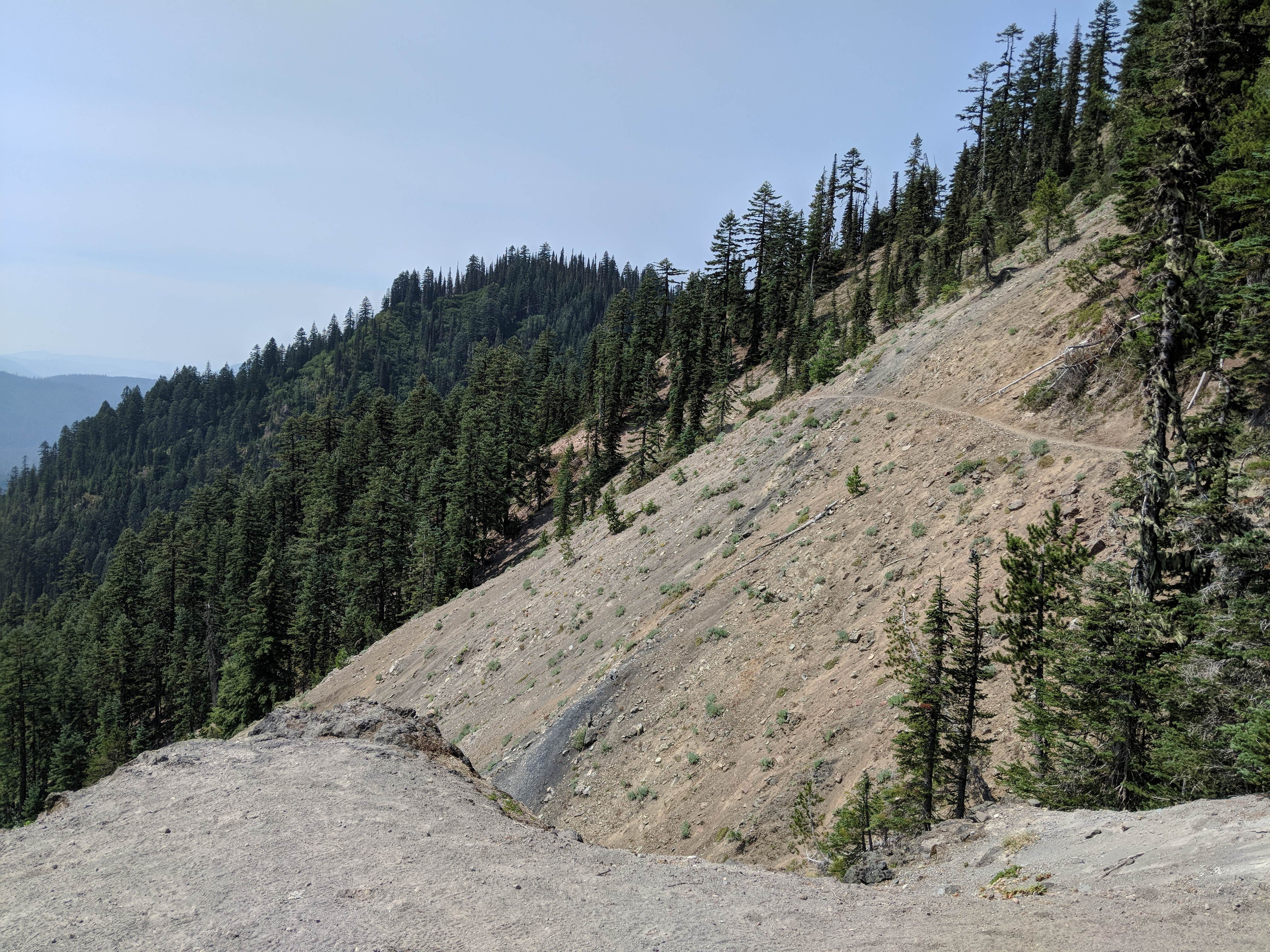 View All