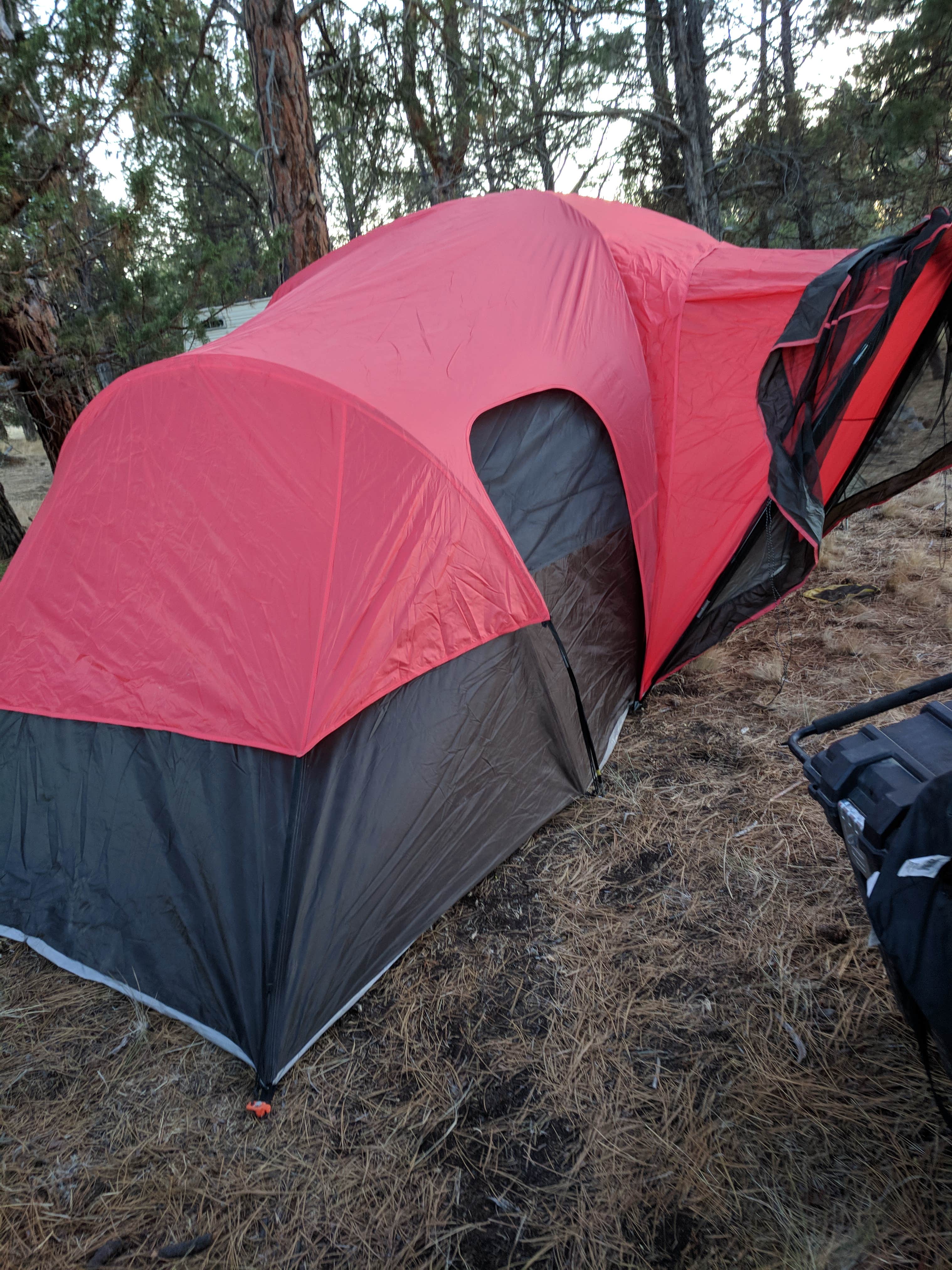 Sarah W.'s photo at Fly Lake Dispersed Camping near Culver, OR