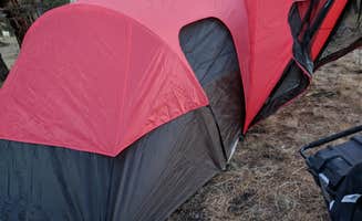 Sarah W.'s photo of a dispersed camping area at Fly Lake Dispersed Camping near Prineville, OR