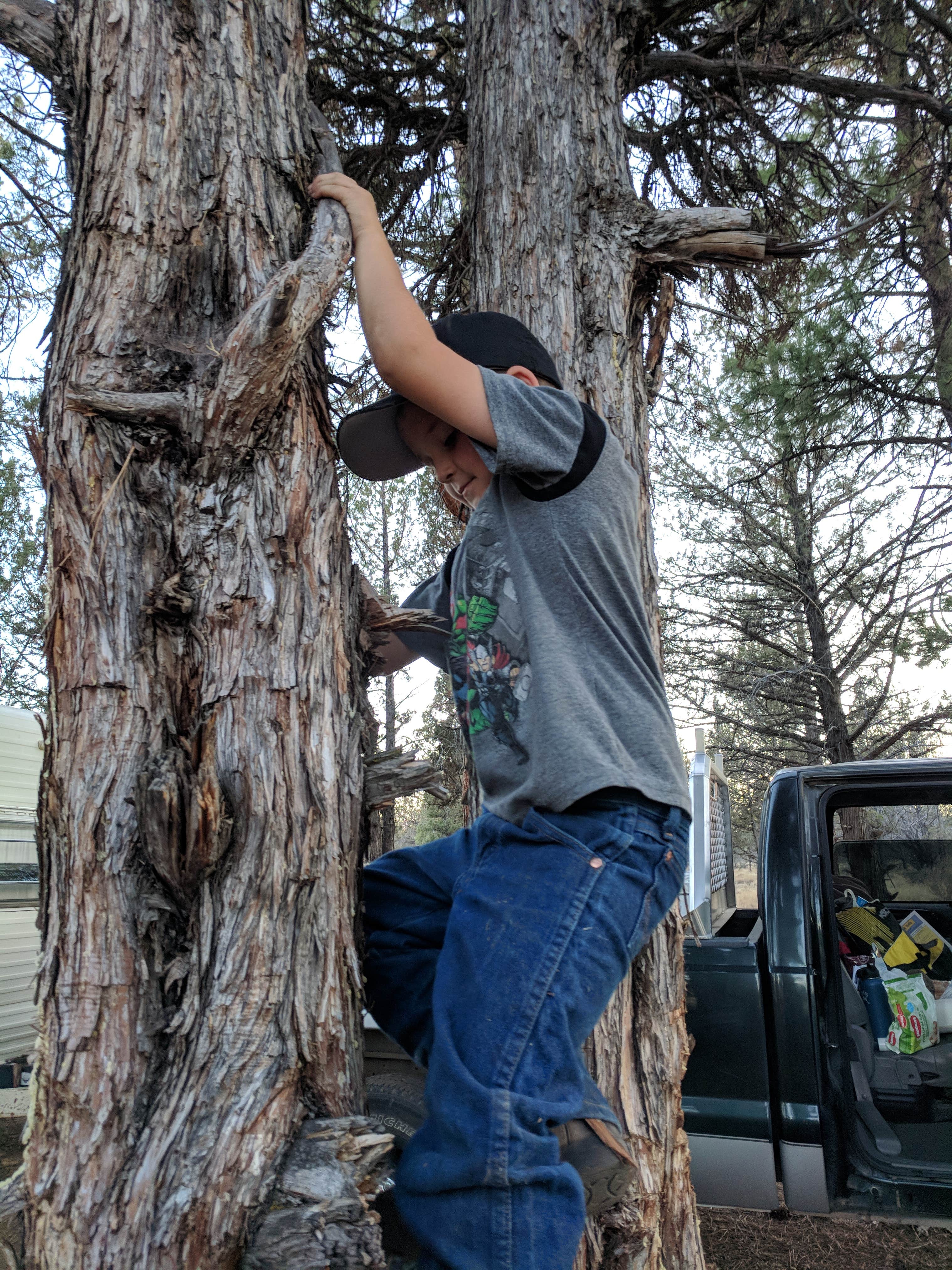 Camper-submitted photo at Fly Lake Dispersed Camping near Culver, OR