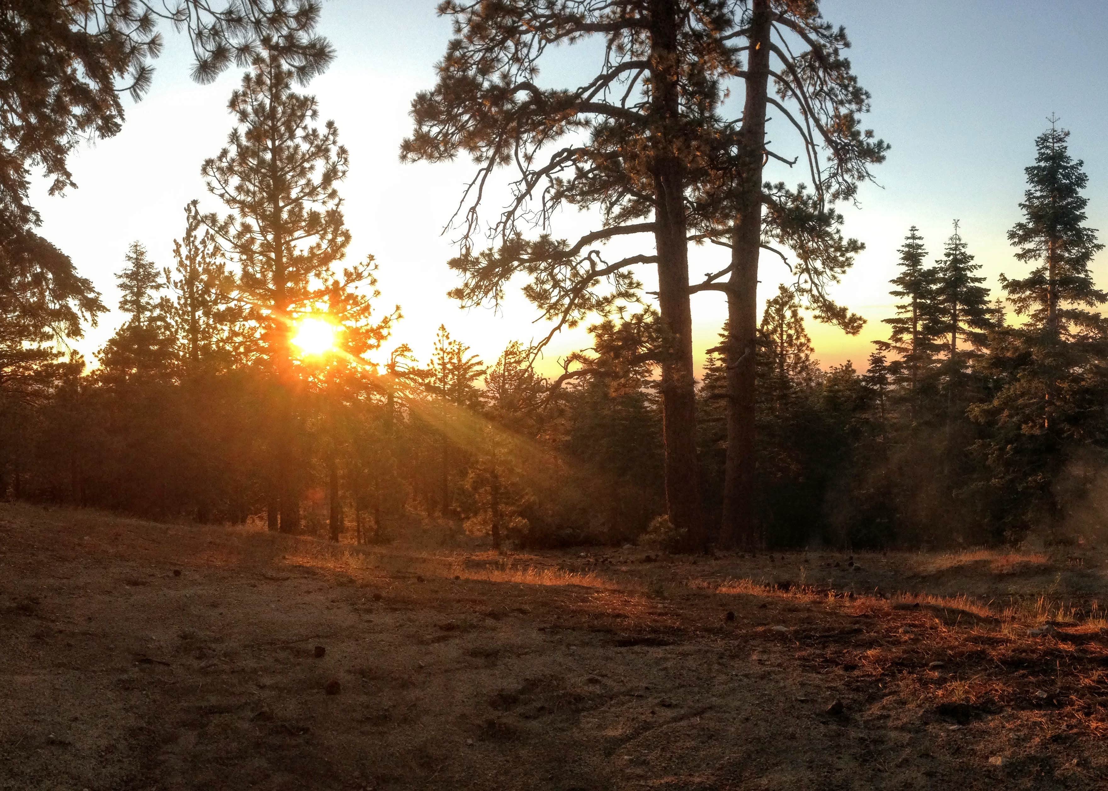 Table Mountain Campground Camping The Dyrt