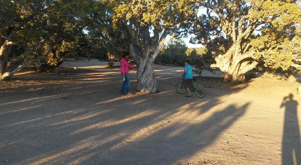 Camper-submitted photo at Grandview Campground near Tahoe National Forest