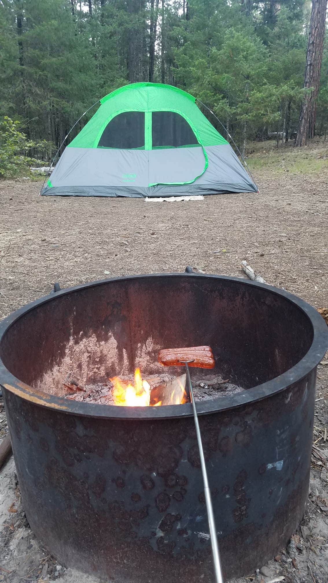 Abbie S.'s photo at Monty Campground near Alder Springs, OR