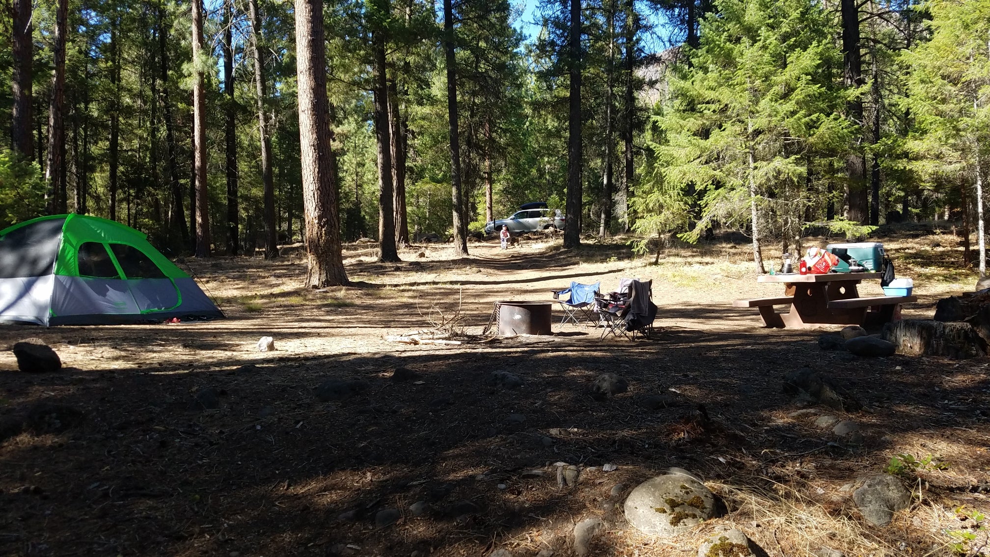 Camper submitted image from Monty Campground - 1