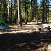 Review photo of Monty Campground by Abbie S., August 17, 2018