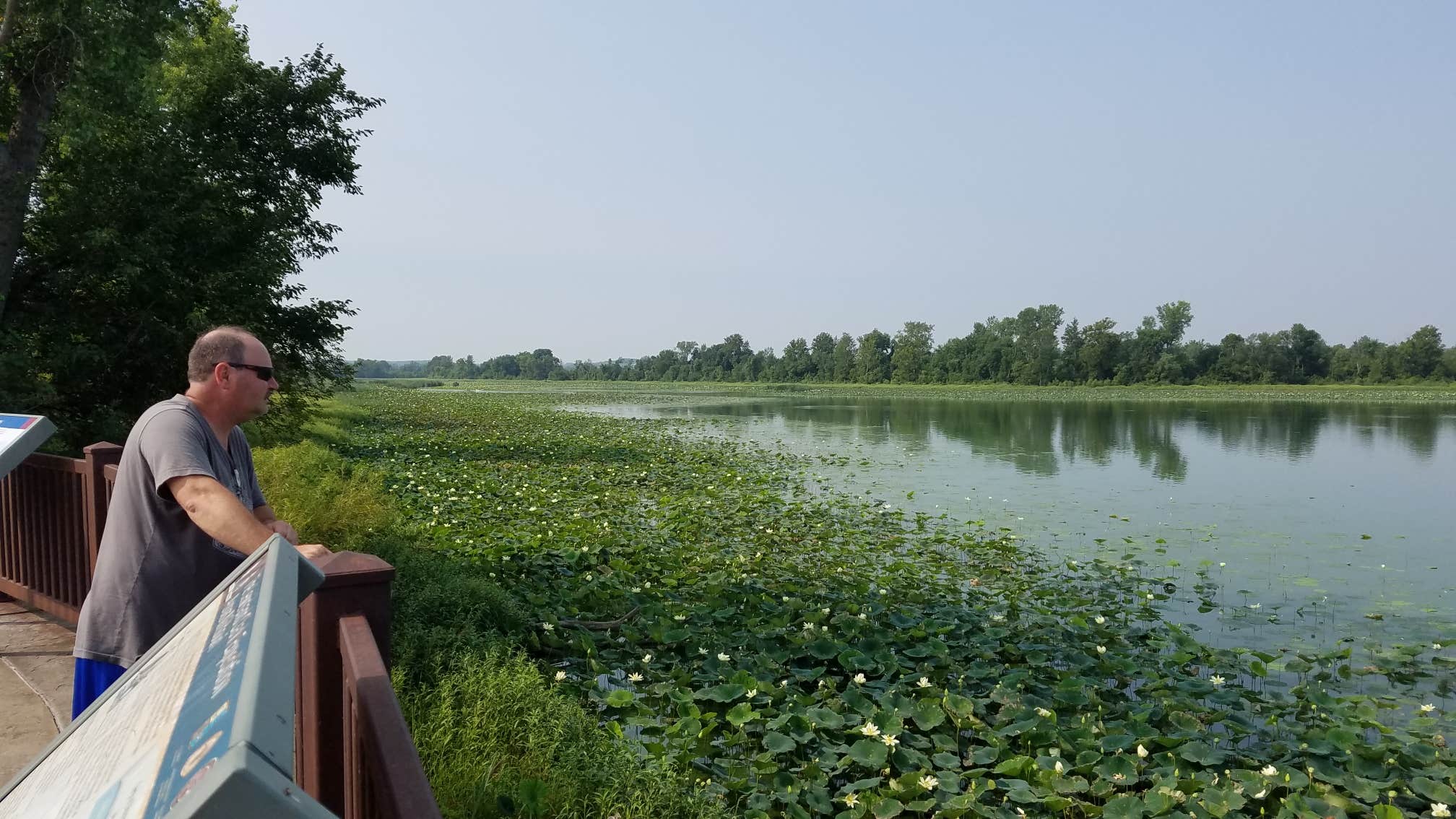 Camper submitted image from Lewis and Clark State Park Campground - 3