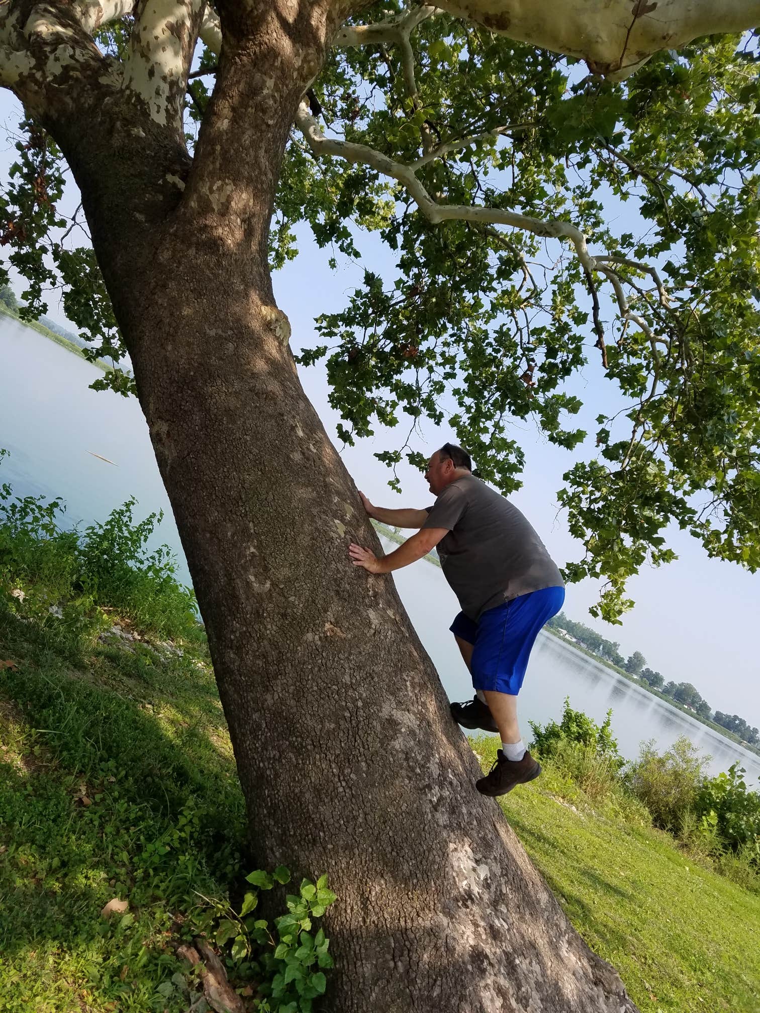 Camper-submitted photo at Lewis and Clark State Park Campground near Weston, MO