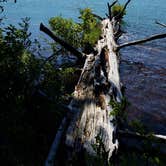 Review photo of South Shore Suttle Lake by Abbie S., August 17, 2018