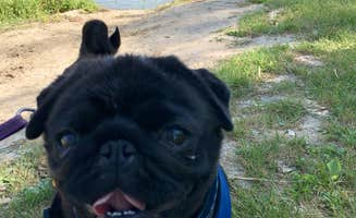 Janet R.'s photo of camping with pets at Fort Abraham Lincoln State Park Campground near Hensler, ND
